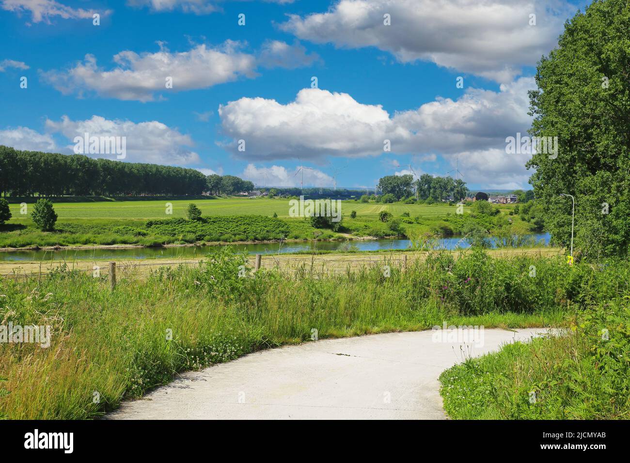 Beautiful rural dutch valley landscape, cycling path, river Maas, green