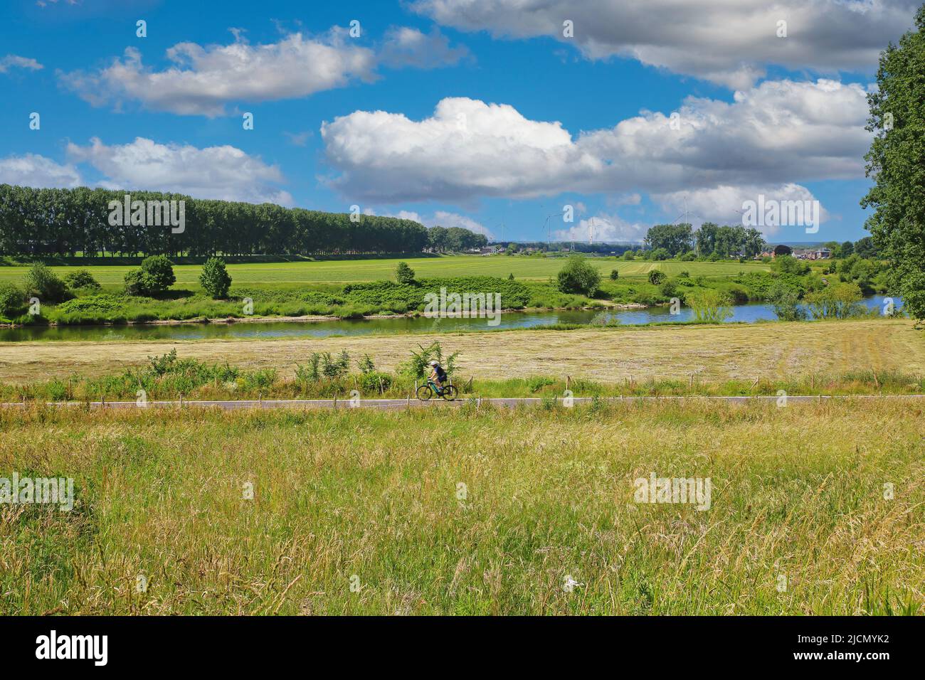 Beautiful scenic dutch rural landscape, green meadows, river Maas, blue summer sky fluffy cumulus clouds - Maasvallei, Limburg, Netherlands Stock Photo