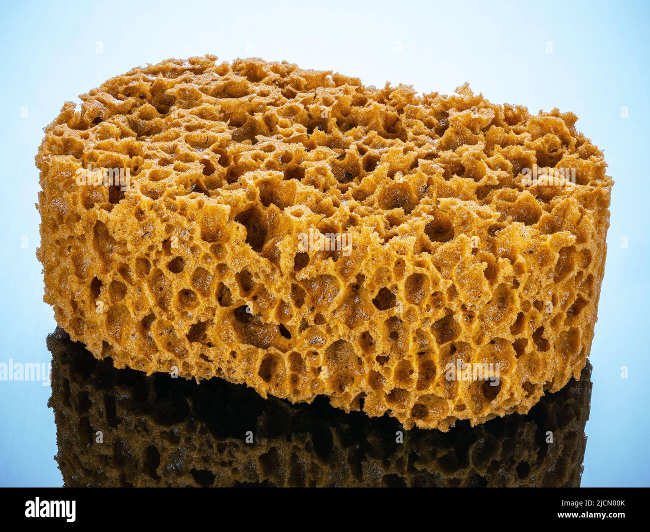 Yellow porous sponge for abstract decor effect and paints the wall