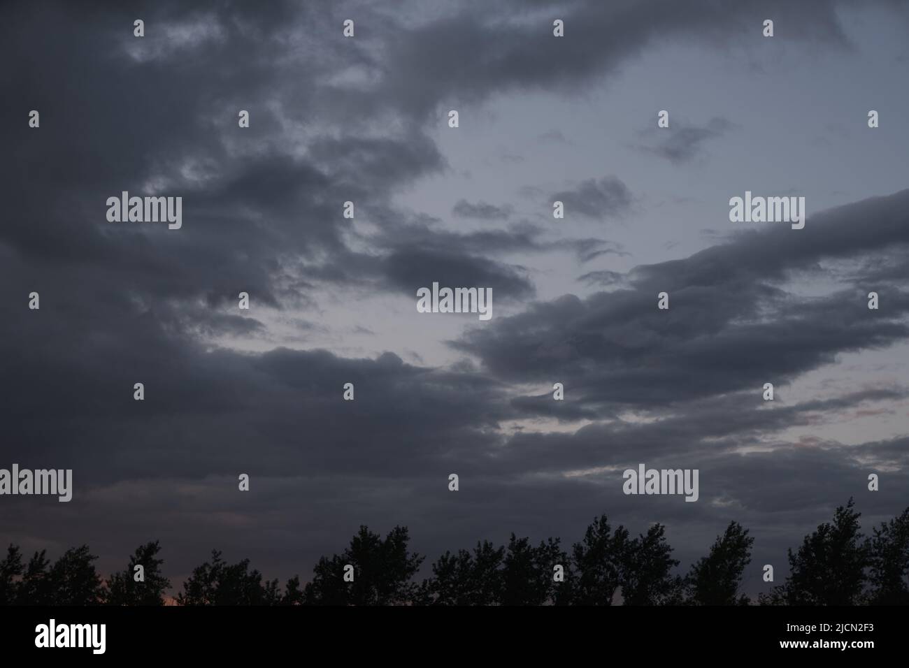 Silhouettes trees, stormy dramatic clouds during evening sunset Stock Photo