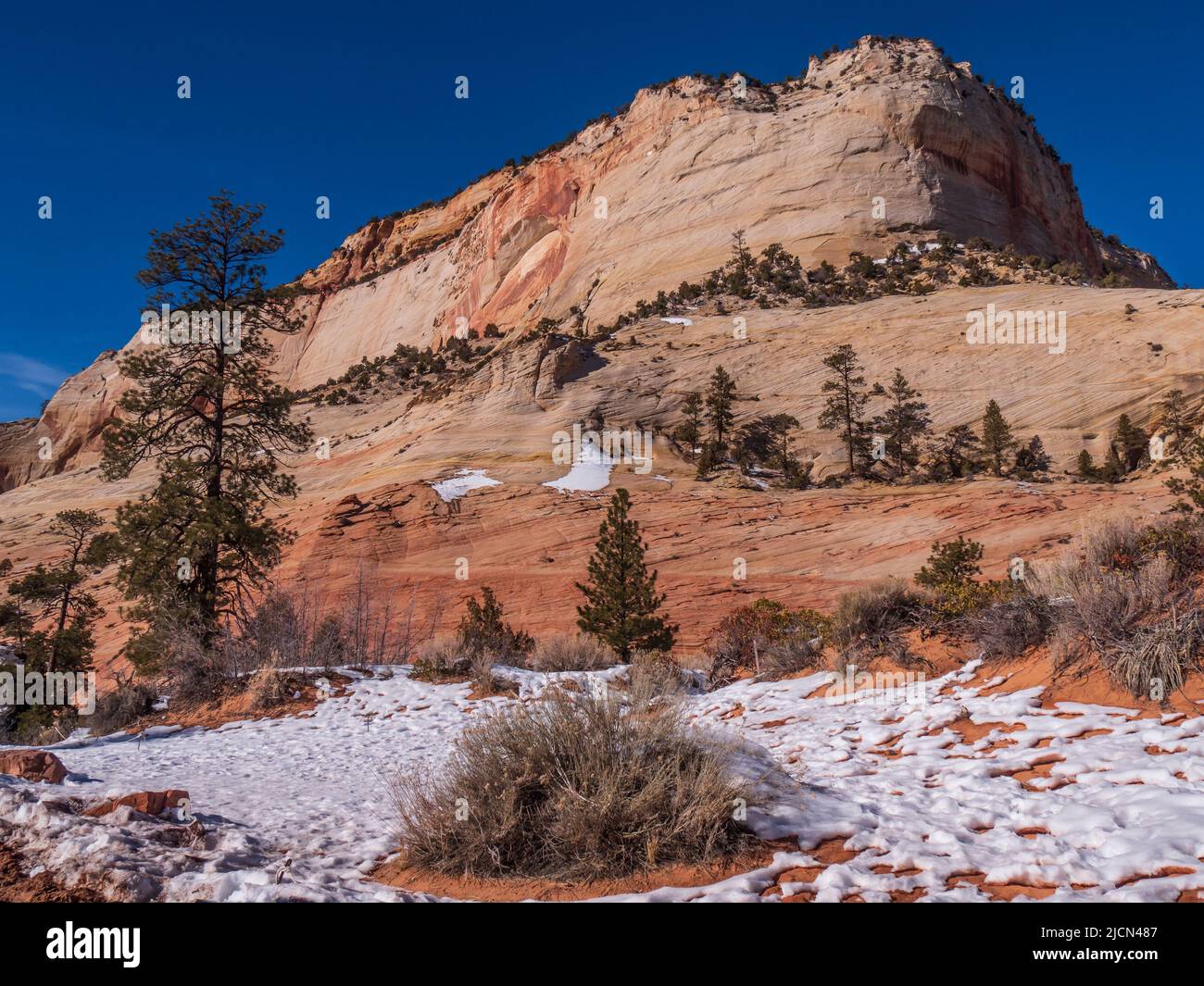 Checkerboard Mesa area, Zion-Mount Carmel Junction Highway, winter, Zion National Park, Utah. Stock Photo