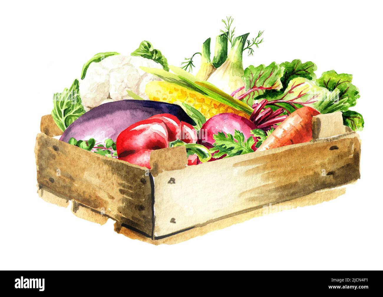 Box with fresh vegetables. Watercolor illustration Stock Photo Alamy
