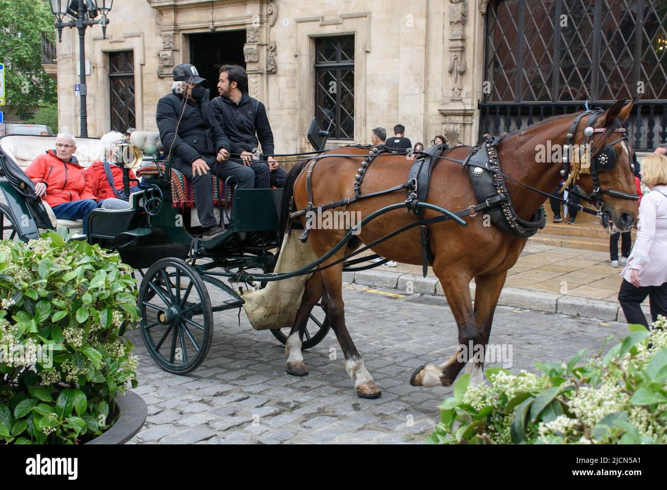 Palma de Mallorca, Mallorca, Spain 05.03.2022 Tourists driving in open horse carriage on the