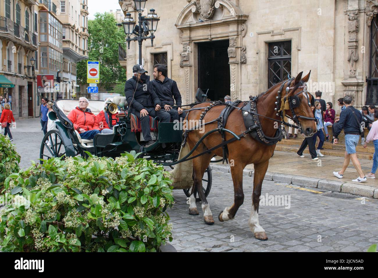 Palma de Mallorca, Mallorca, Spain 05.03.2022 Tourists driving in open horse carriage on the