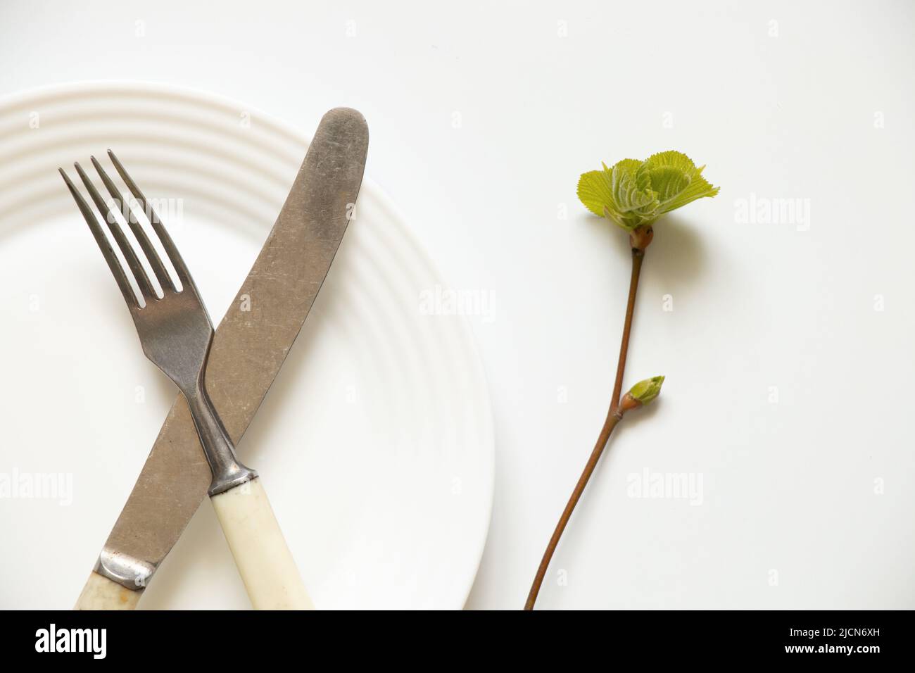 A knife and a fork lie in a white plate on a white background and next to it lies a branch from a tree with green leaves, table setting, restaurant bu Stock Photo