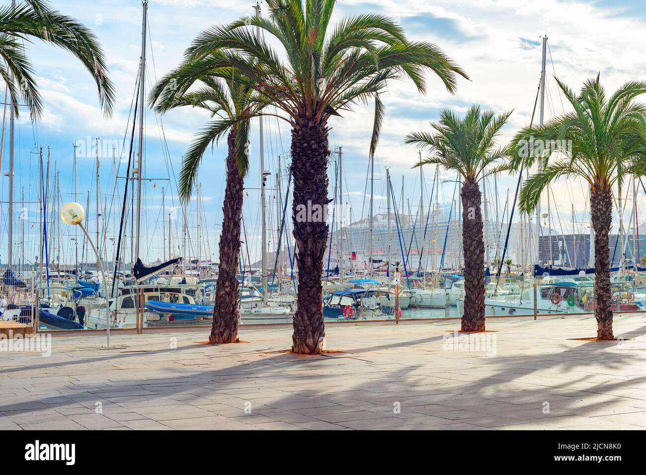 Palms at the promenade by marina with moored yachts and motorboats, cruise ship in background, Valencia, Spain Stock Photo