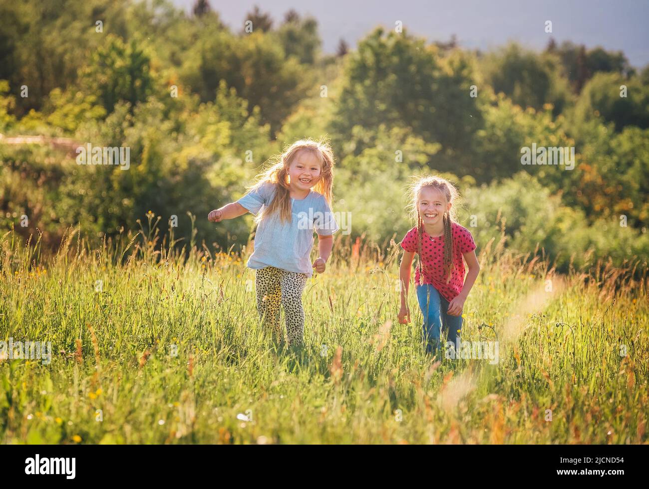 Two little sisters running and laughing in the summer high green grass meadow with a bright sunset light background. Careless childhood, family values Stock Photo