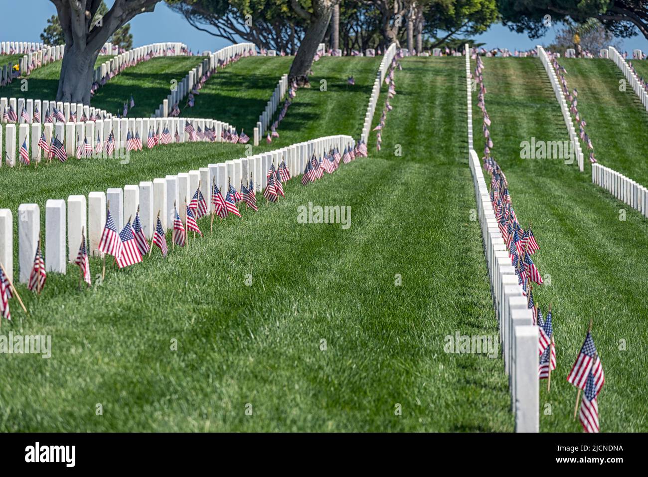 American flags set out for Memorial Day at Fort Rosecrans National Cemetery. San Diego, California, USA. Stock Photo