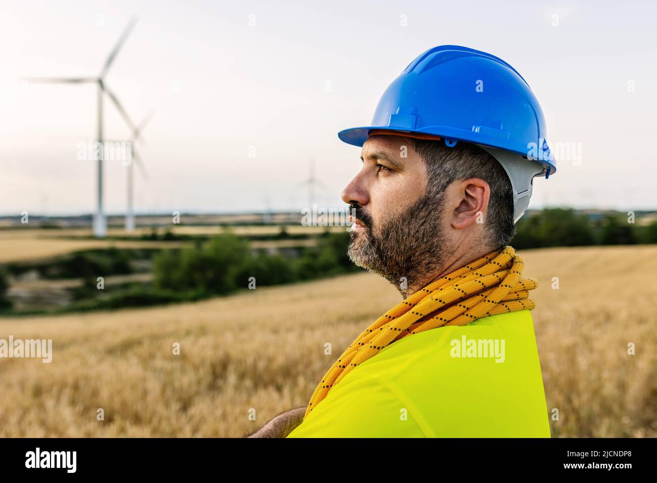 Male technician worker with blue safety helmet standing in a field of wind farm Stock Photo