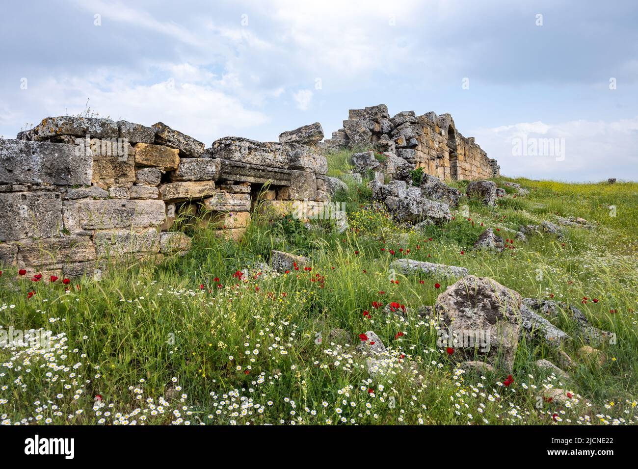 Wild flowers at the ruins of ancient Hierapolis. Pamukkale, Türkiye. Stock Photo