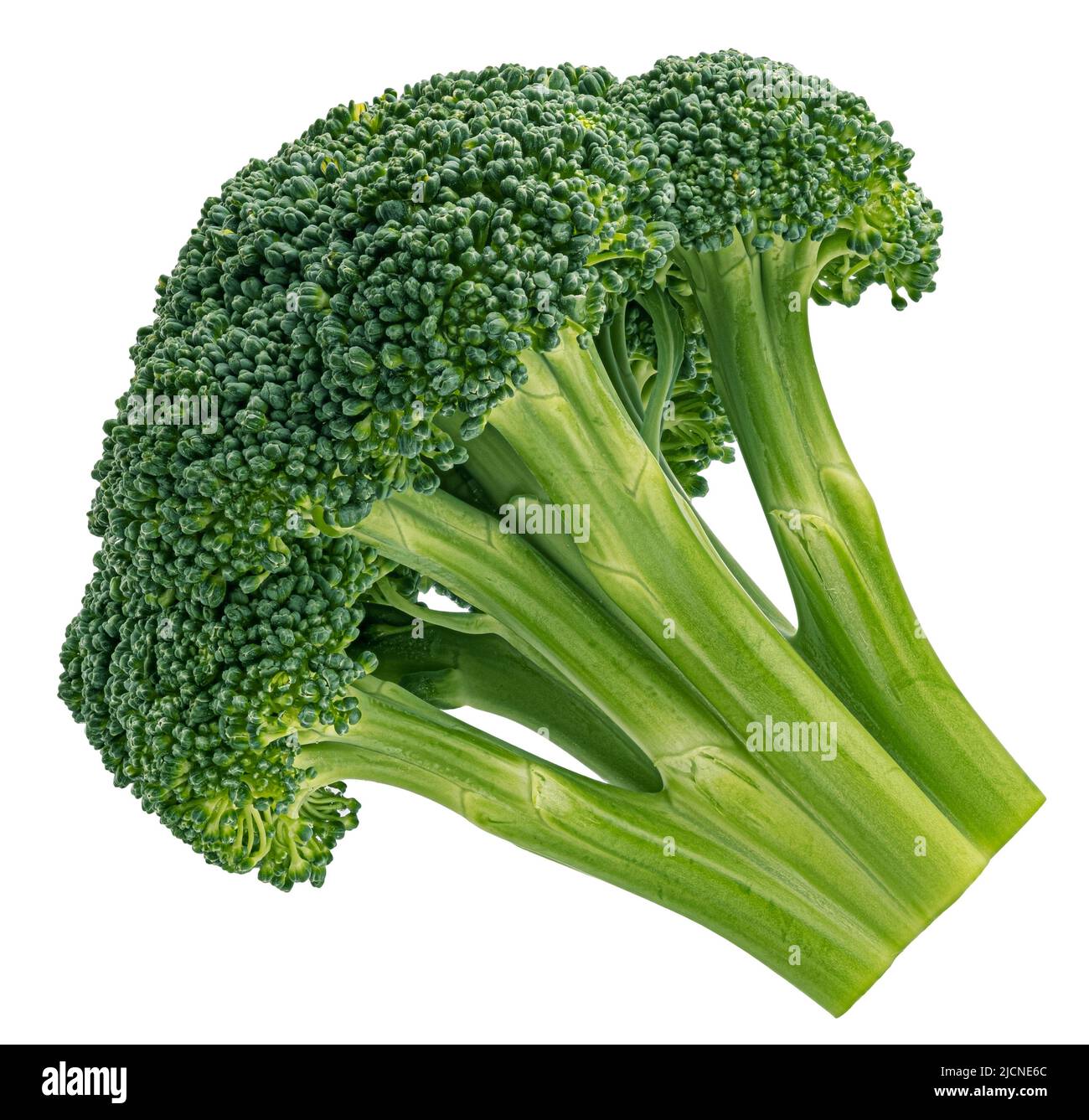 Broccoli isolated on white background Stock Photo - Alamy