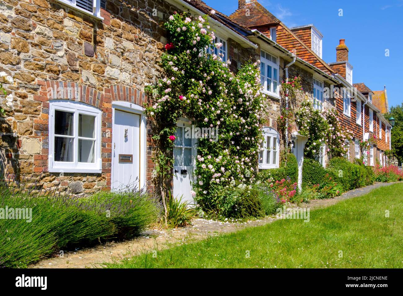 Pretty rose covered cottages, Winchelsea, East Sussex, UK Stock Photo