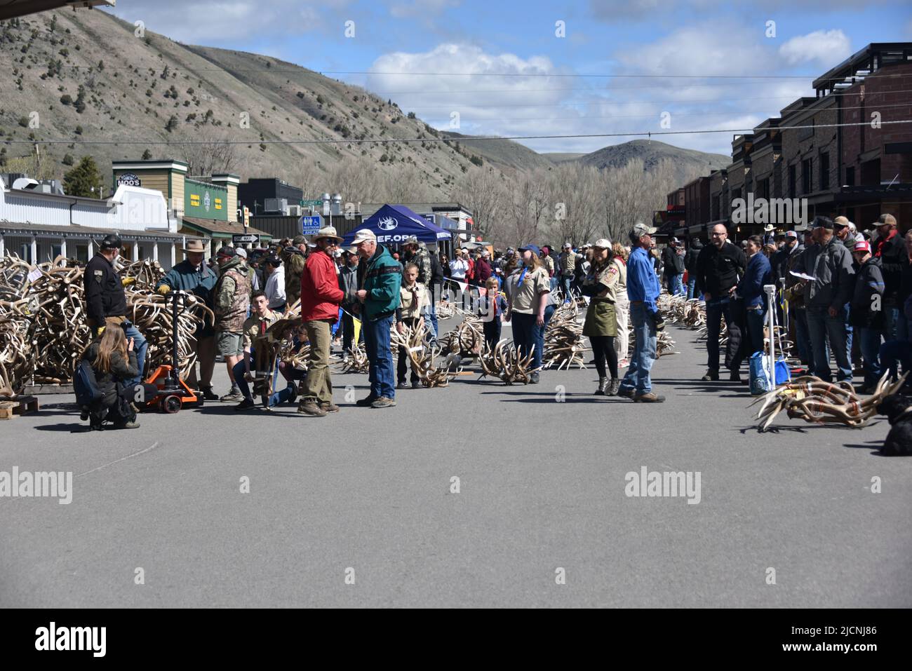 Jackson, WY. USA. 5/21/2022. Boy Scouts of America annual elk and moose