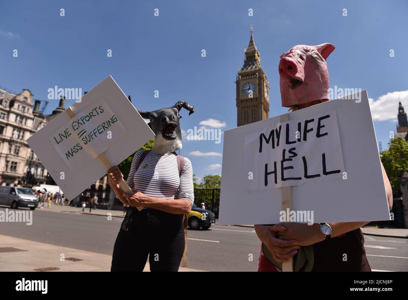 Activists staged a protest in Parliament Square to call on the UK Government to end live animal exports. Stock Photo