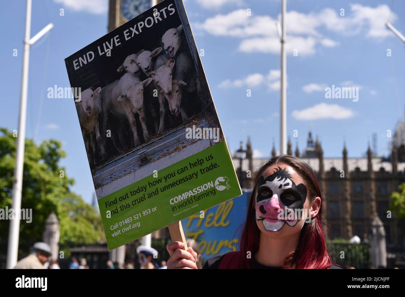 Activists staged a protest in Parliament Square to call on the UK Government to end live animal exports. Stock Photo