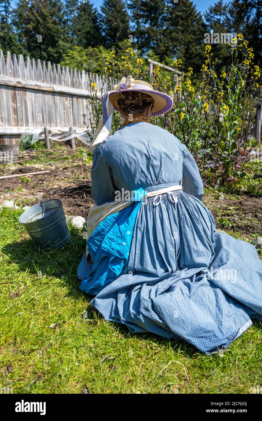 woman wearing 1850s clothing while working in the garden at Fort Nisqually, Tacoma, Washington Stock Photo