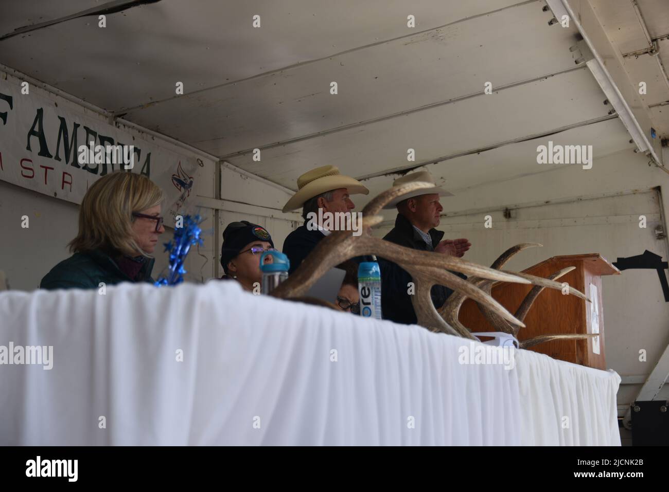 Elk antler hires stock photography and images Alamy