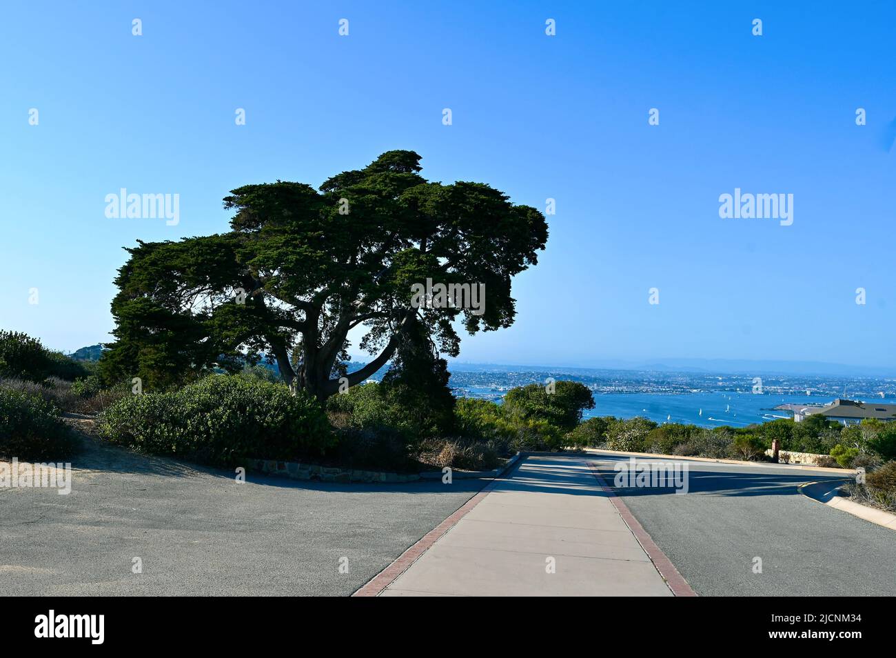ocean view over San Diego Bay from the old Loma Lighthouse with the big tree in front Stock Photo