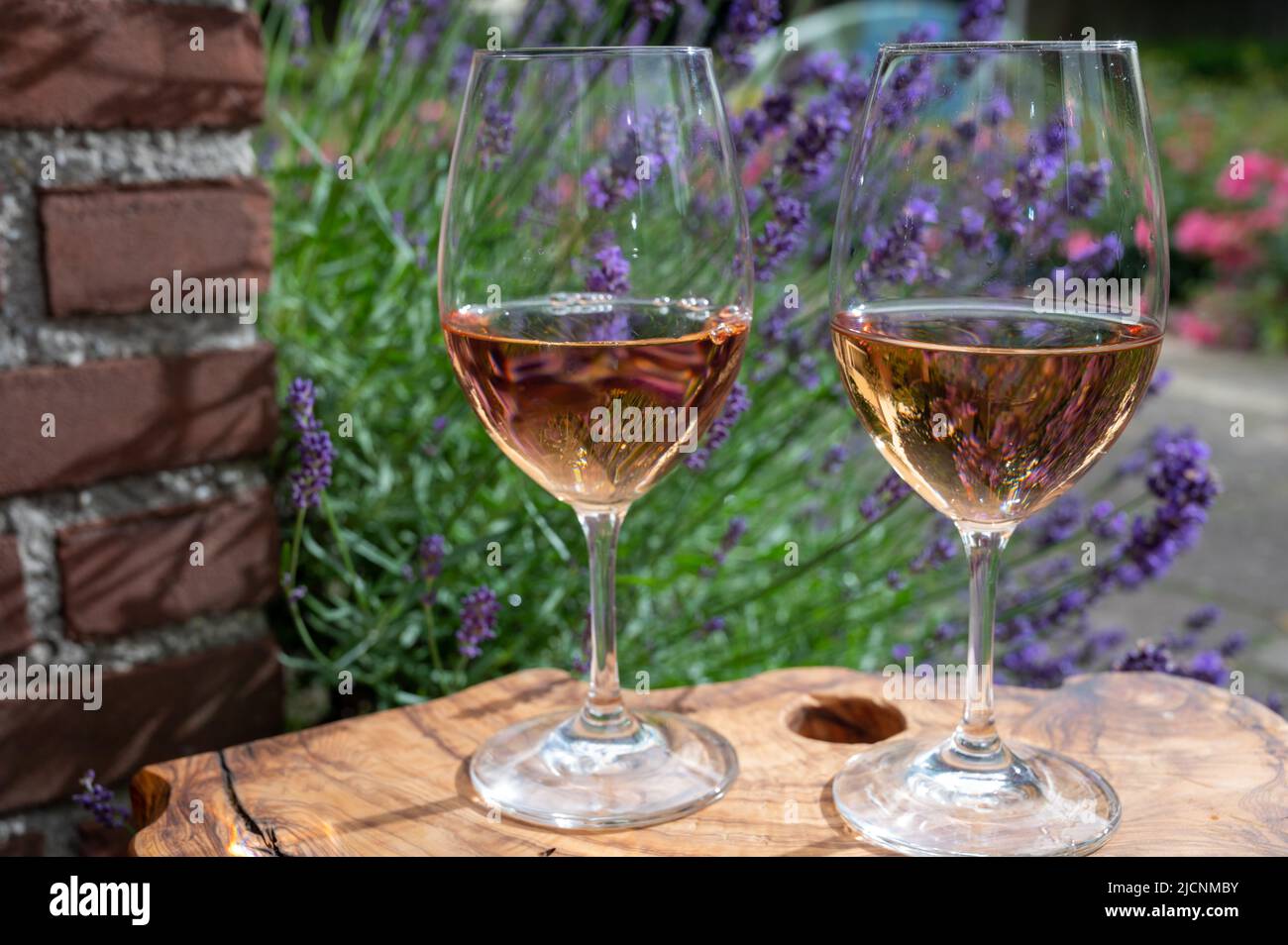 French rose wine from Provence, two glasses of wine with purple