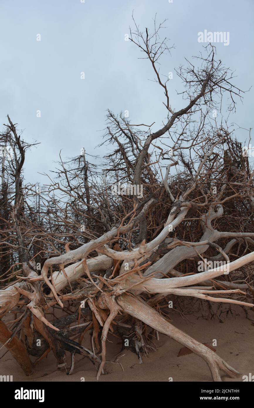 Atlantic storm with waves and grey water Stock Photo