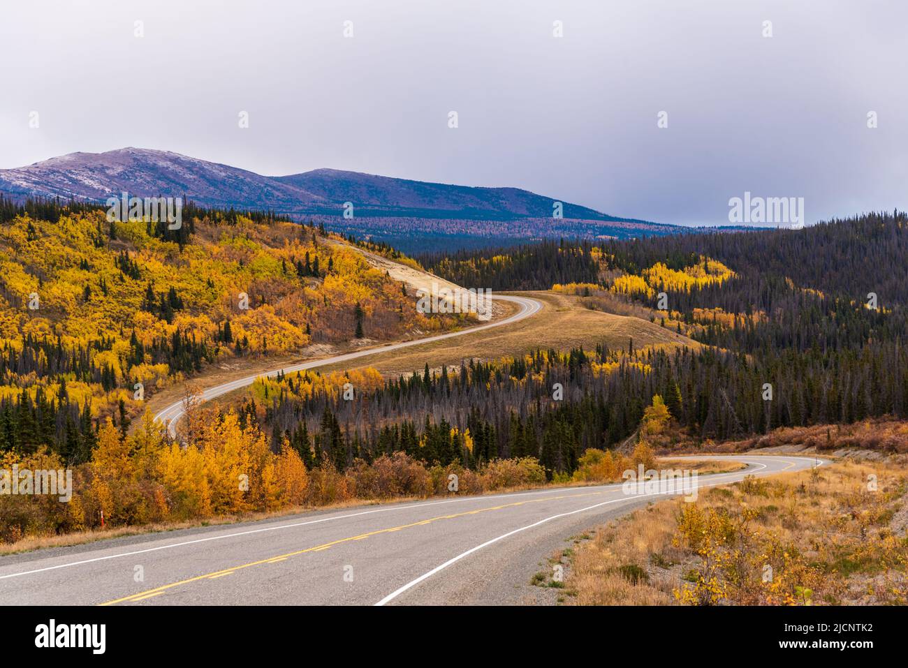 Amazing view of a road highway with fall scenes and yellow autumn colors. Yukon Territory, Alaska border in Canada. Stock Photo