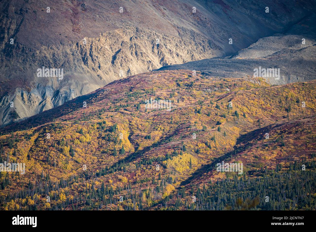 Haines junction area hires stock photography and images Alamy