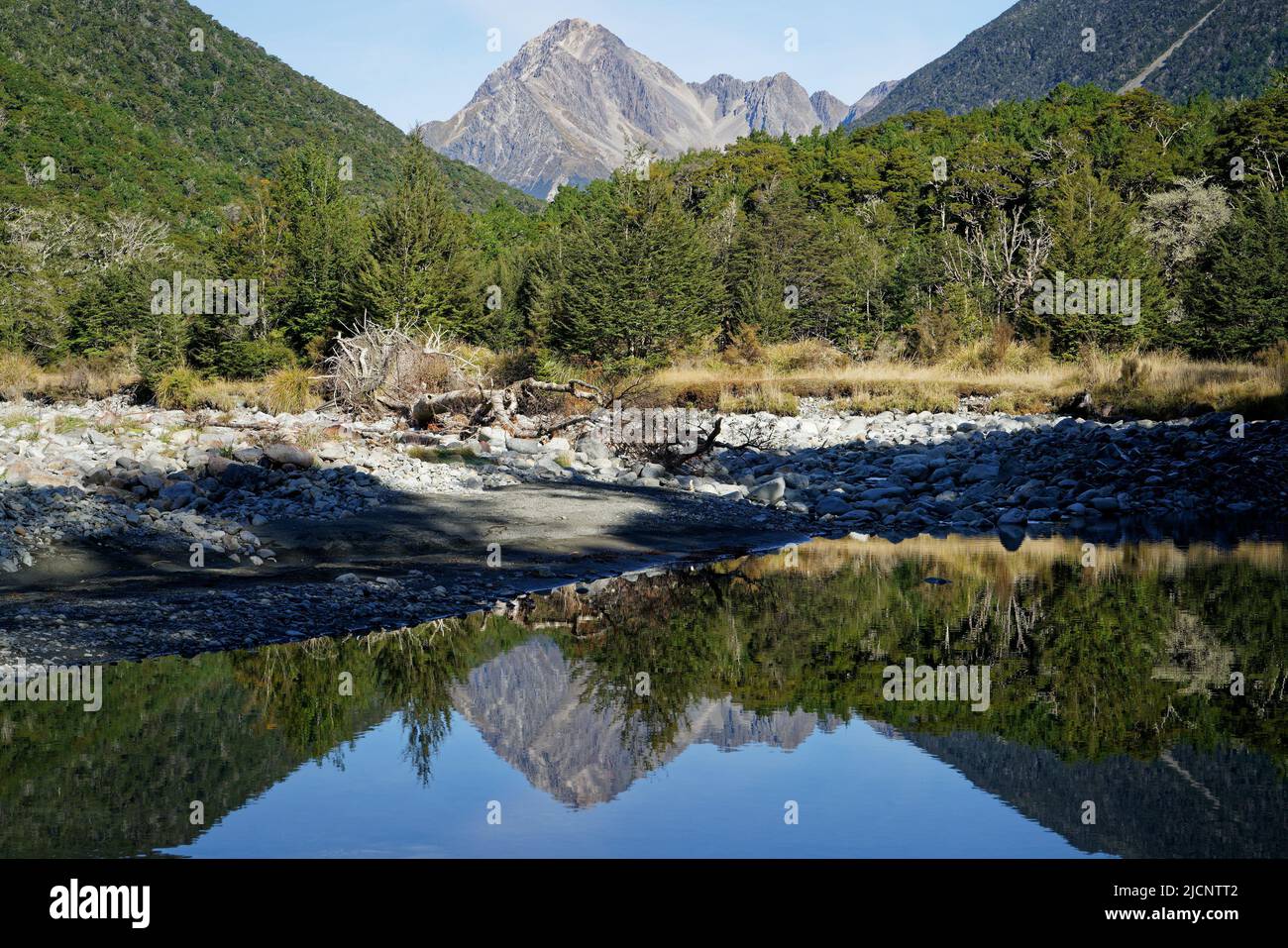 Mount Travers in the background reflected in a pool in the Travers river, in Nelson Lakes National Park, Aotearoa / New Zealand. Stock Photo