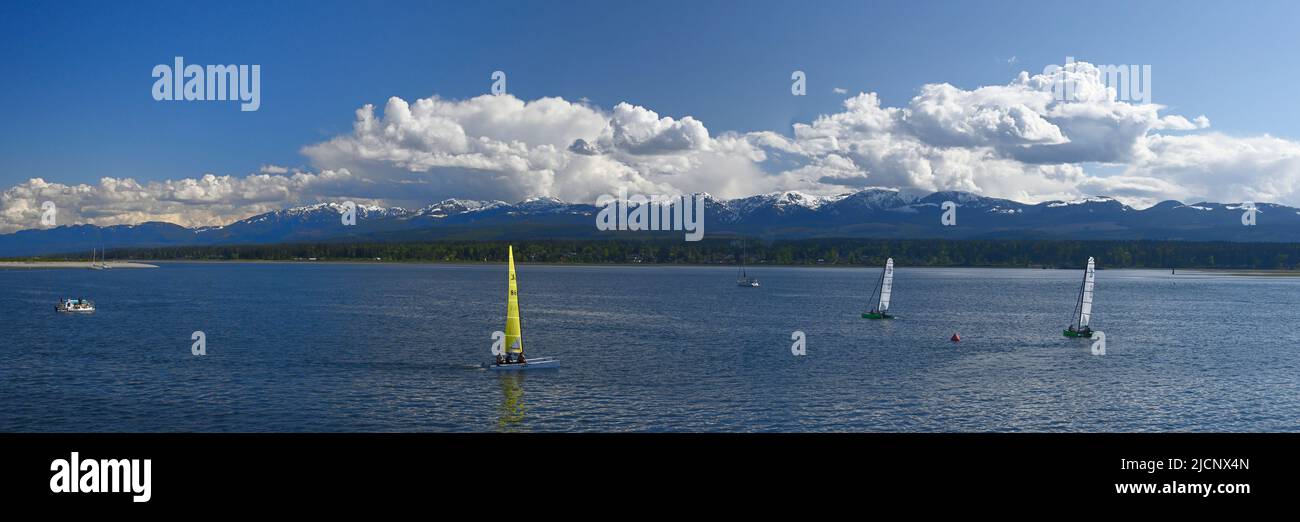 Sailboats at Comox Harbour, Comox, Vancouver Island,  British Columbia, Canada. Stock Photo