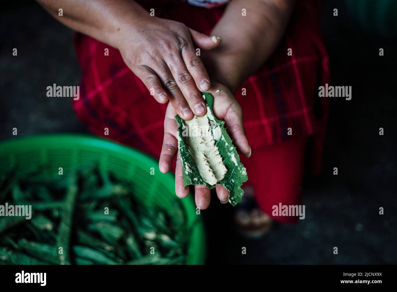 Making of boxbol, traditional nutritious Ixil dish - Quiche, Guatemala Stock Photo