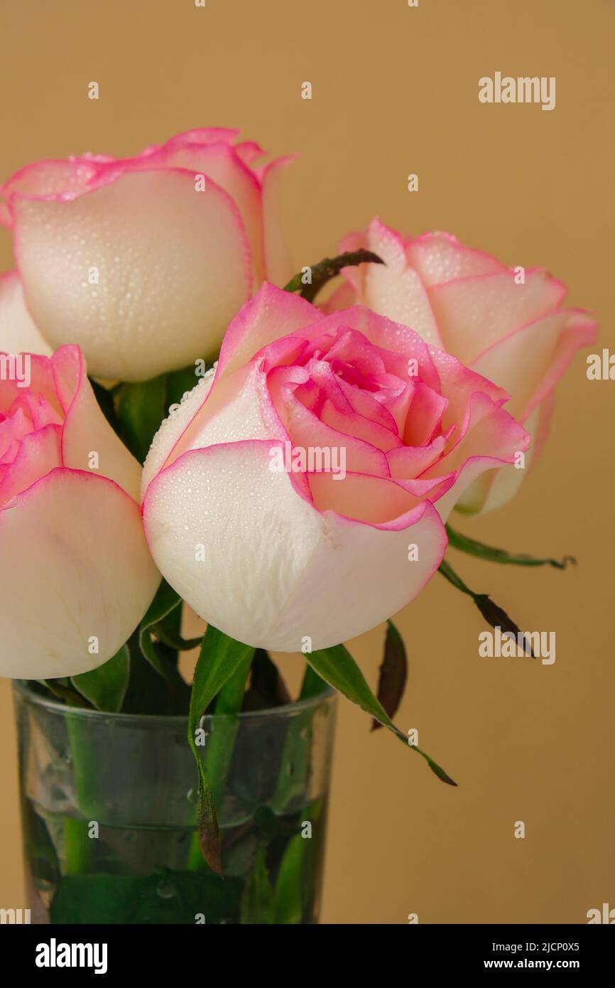 Happy Birthday Card with Bouquet of Pink Roses Stock Photo - Alamy