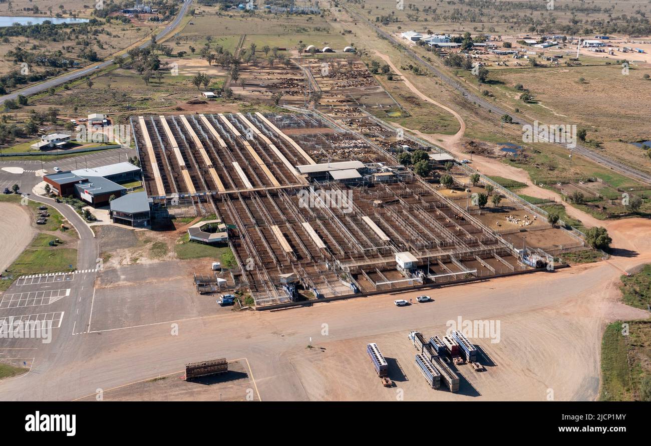 Roma Cattle Saleyards The Largest Center In Australia Stock Photo Alamy roma-cattle-saleyards-the-largest-center-in-australia-stock-photo-alamy
