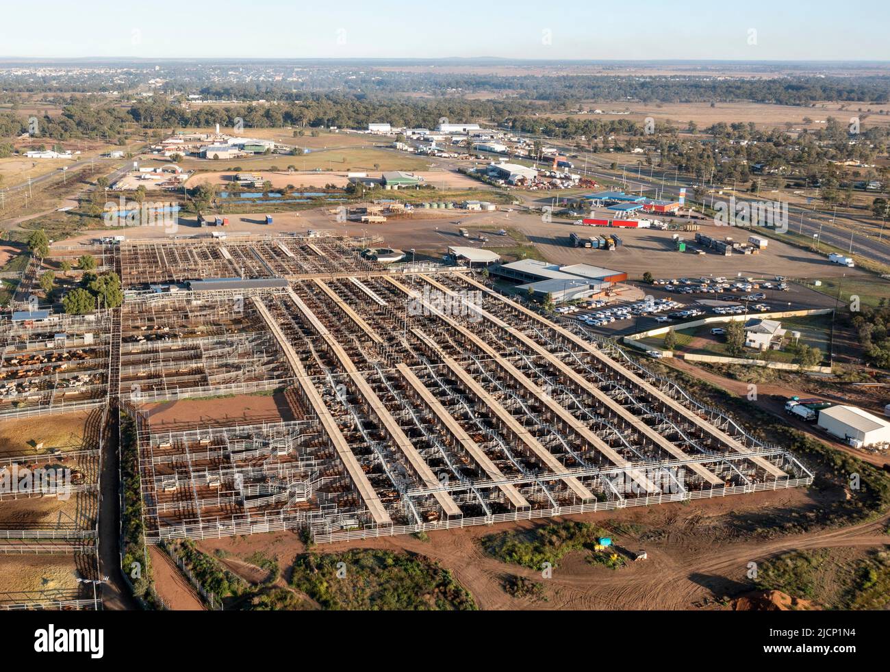 Roma Cattle Saleyards The Largest Center In Australia Stock Photo Alamy roma-cattle-saleyards-the-largest-center-in-australia-stock-photo-alamy