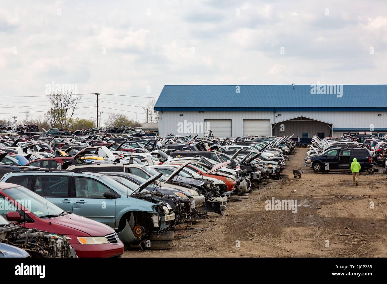 A row of junk cars at the LKQ Pick Your Part junkyard in Fort Wayne, Indiana, USA. Stock Photo