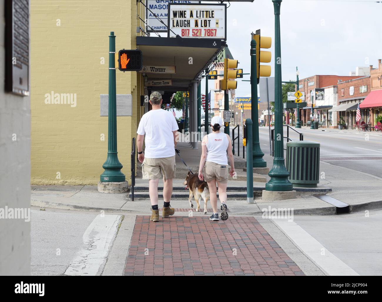 A husband and wife (man and woman) walk their dog across the street while the no walking sign flashes Stock Photo