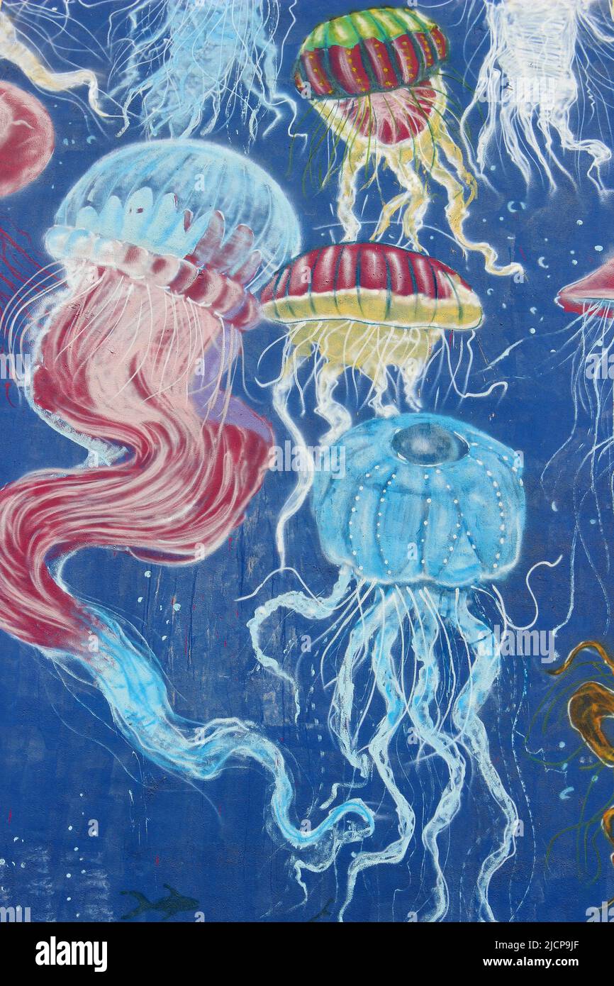 Jellyfish Art - Red Sea, Jordan Stock Photo