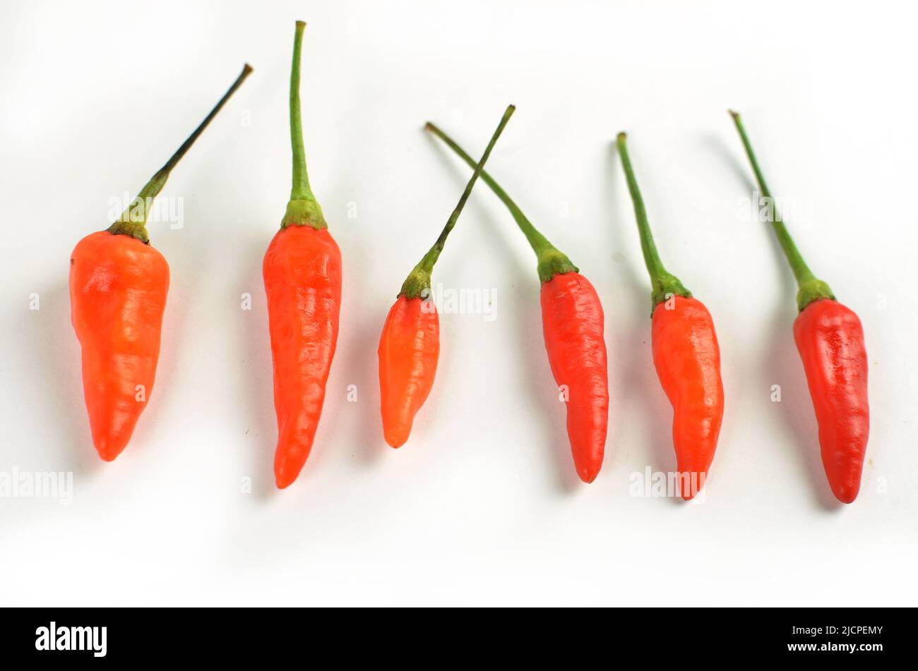 Chilli peppers red and hot on white background Stock Photo - Alamy