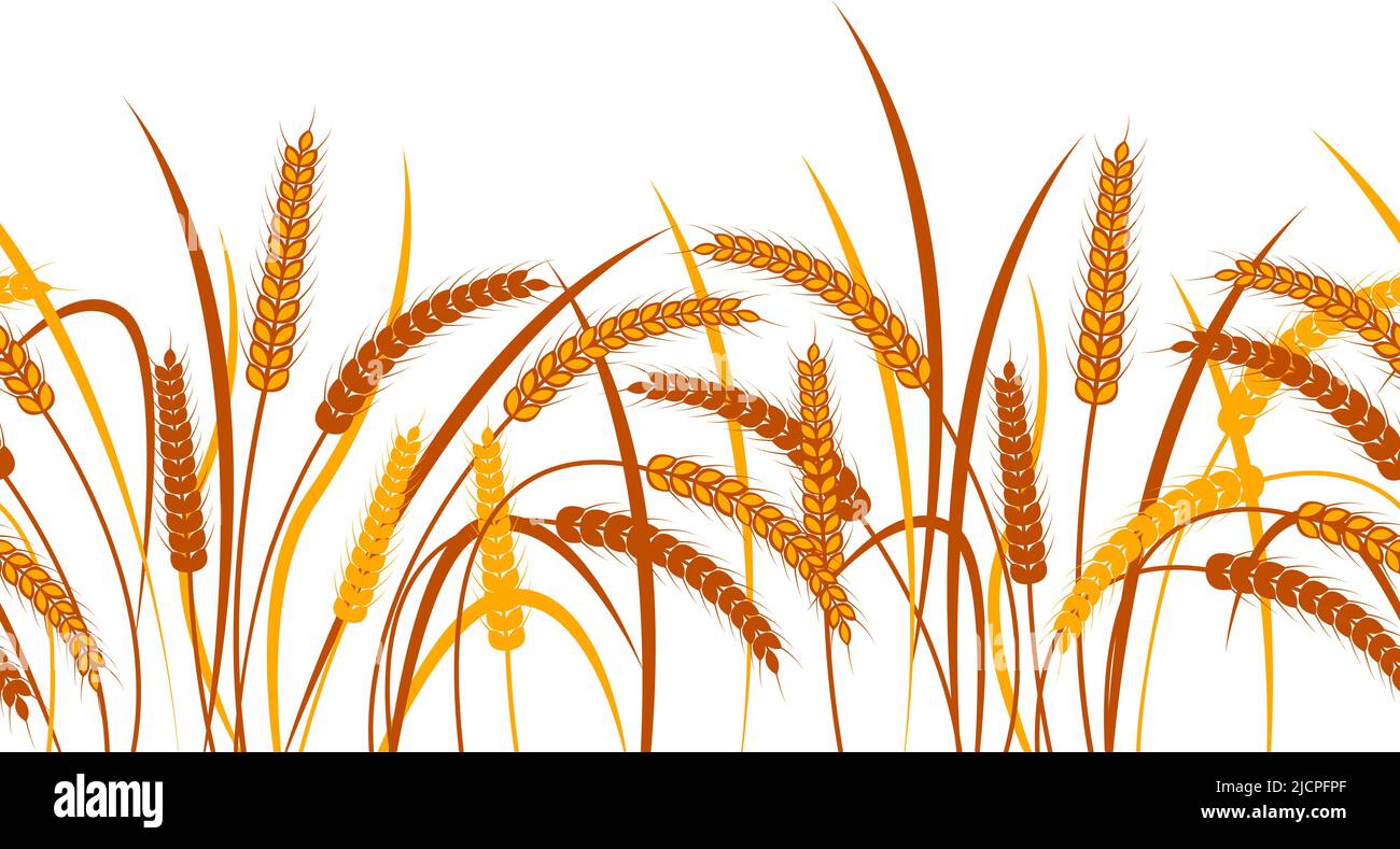 Ears of wheat on a transparent background. Horizontal seamless pattern. Two color vector illustration Stock Vector