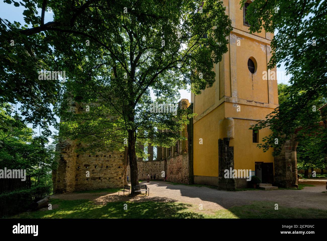The unbuilt Monastery Church of the Virgin Mary is an unfinished Gothic building with a completed Baroque bell tower in Panensky Tynec - Stock Image