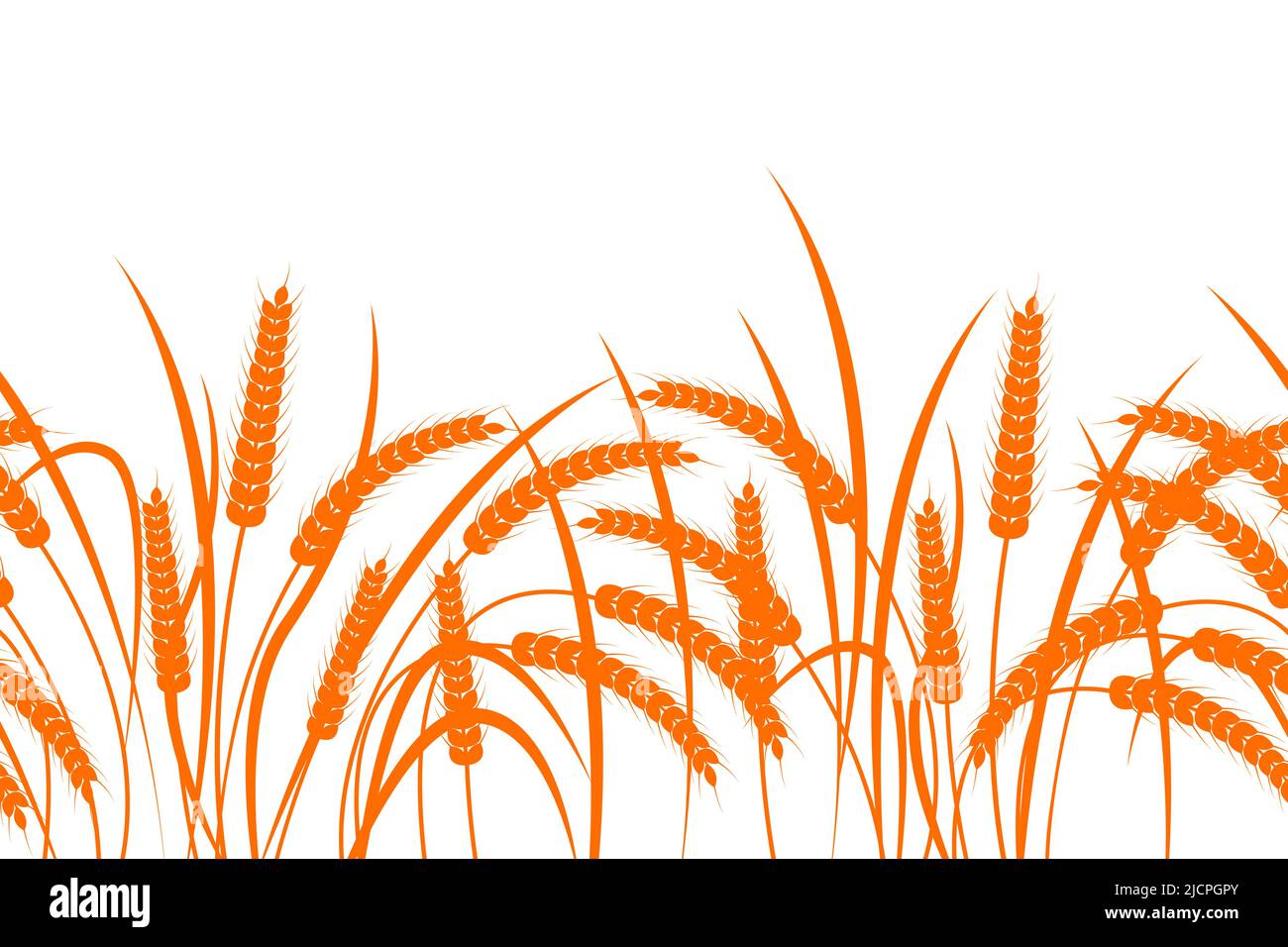 Ears of wheat on a transparent background. Horizontal seamless pattern. Single color vector illustration Stock Vector