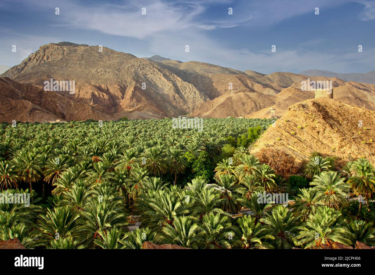 Date farm among the rocky hills in the Oman Stock Photo