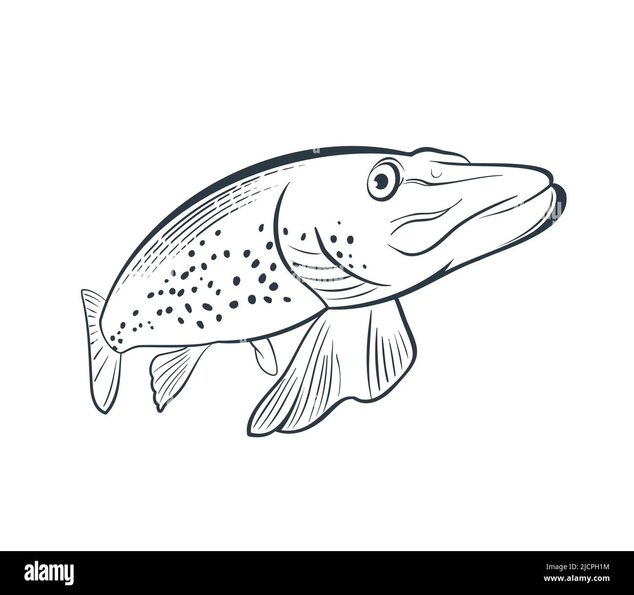 732 Fish Line Drawing Stock Photos - Free & Royalty-Free Stock