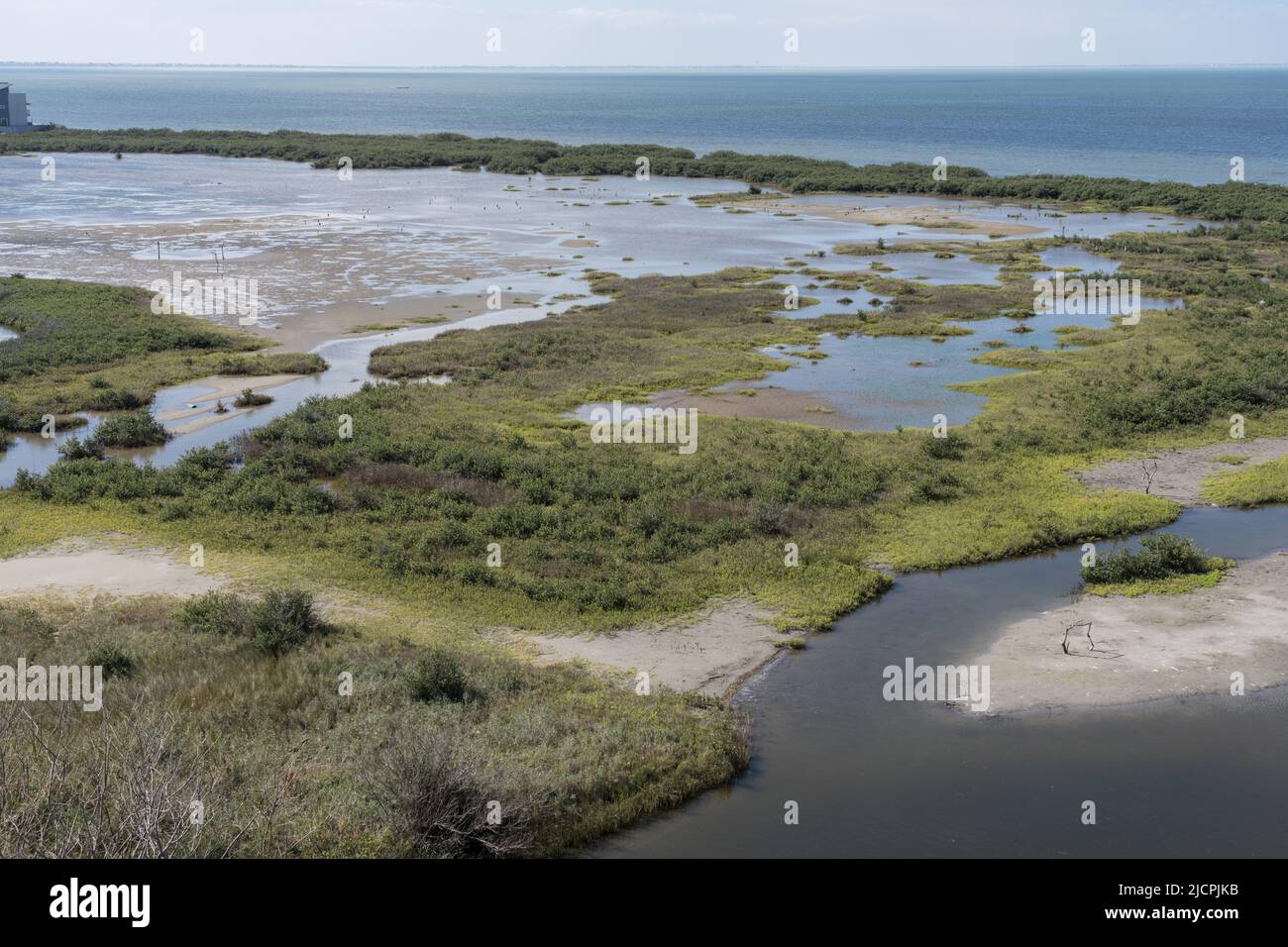 Tidal mudflats and estuaries at the South Padre Birding and Nature