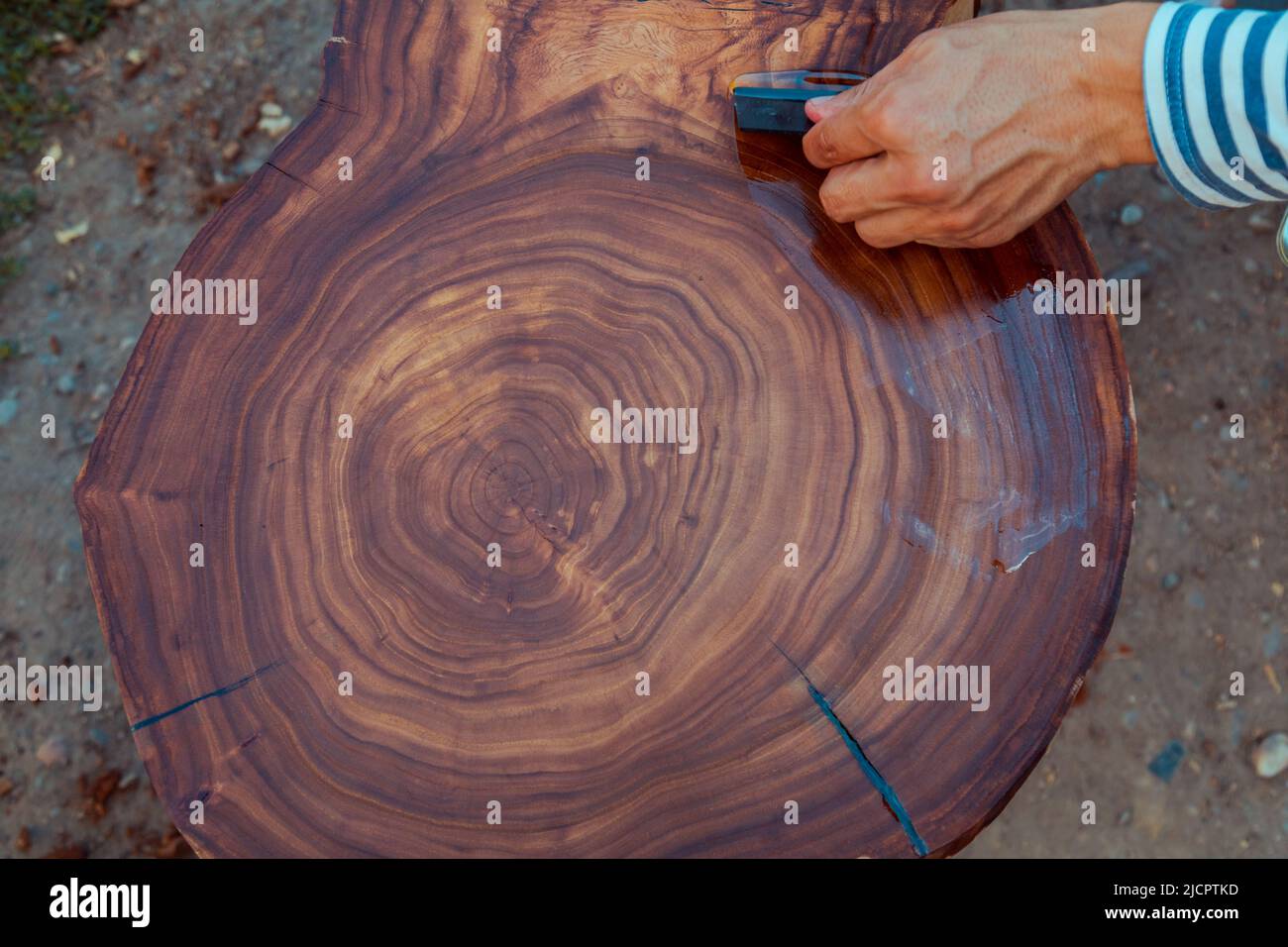 Carpenter pouring linseed oil on a wooden table. Process of making wood