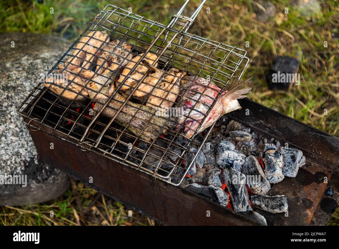Cut fish in metal grate grilling on a brazier with flaming charcoal