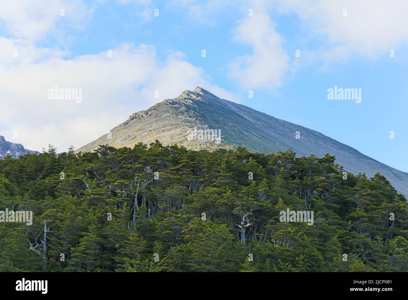 Mountain peaks covered with snow and hills with grass and vegetation