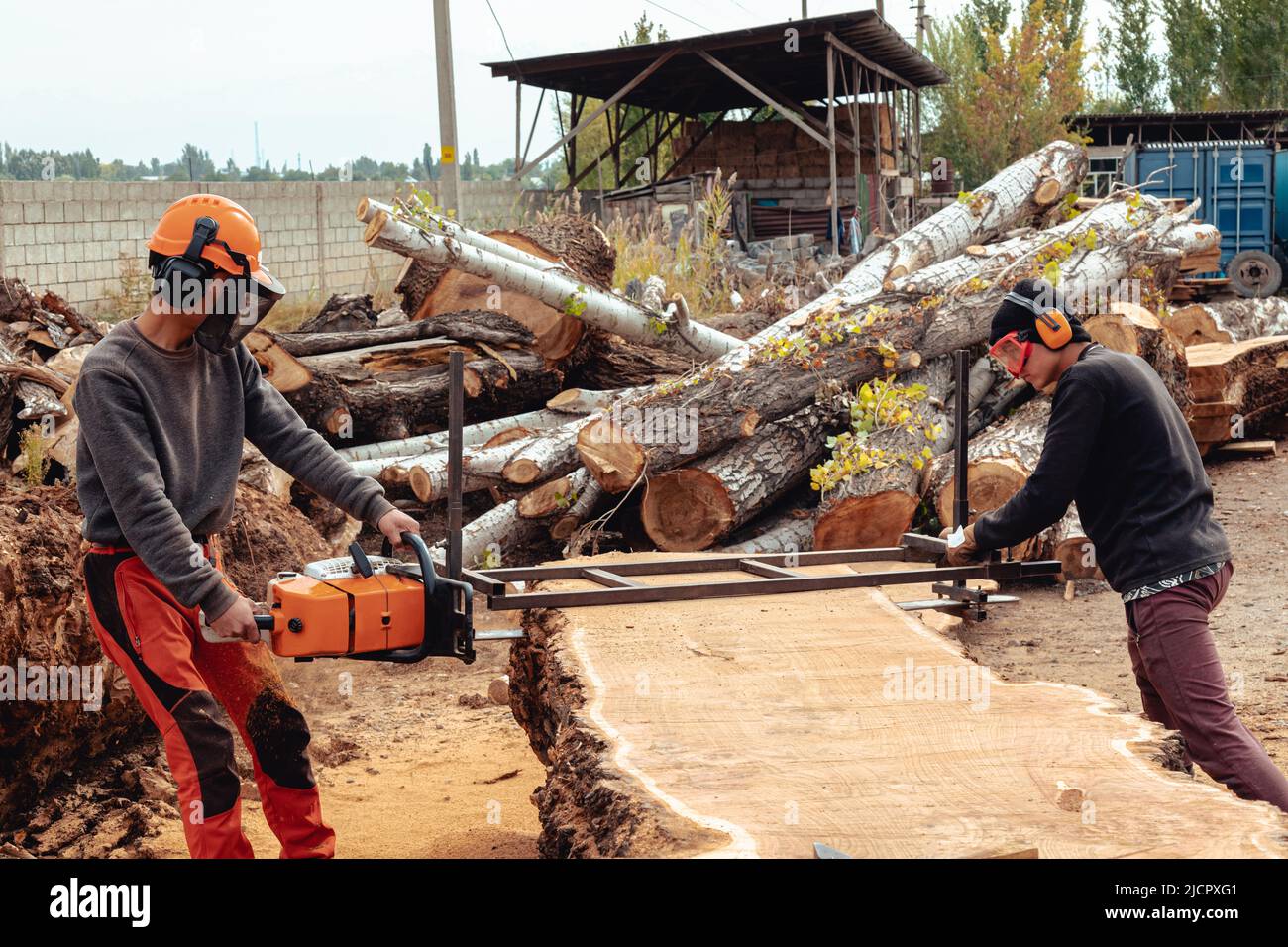 Lumberjack cutting tree trunk with giant chainsaw to make wooden planks