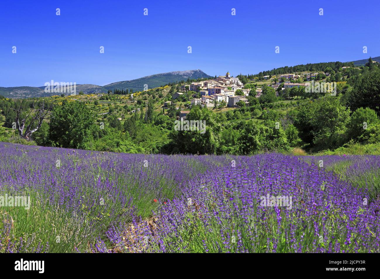 France, Vaucluse Aurel, the village seen from the lavender fields Stock Photo