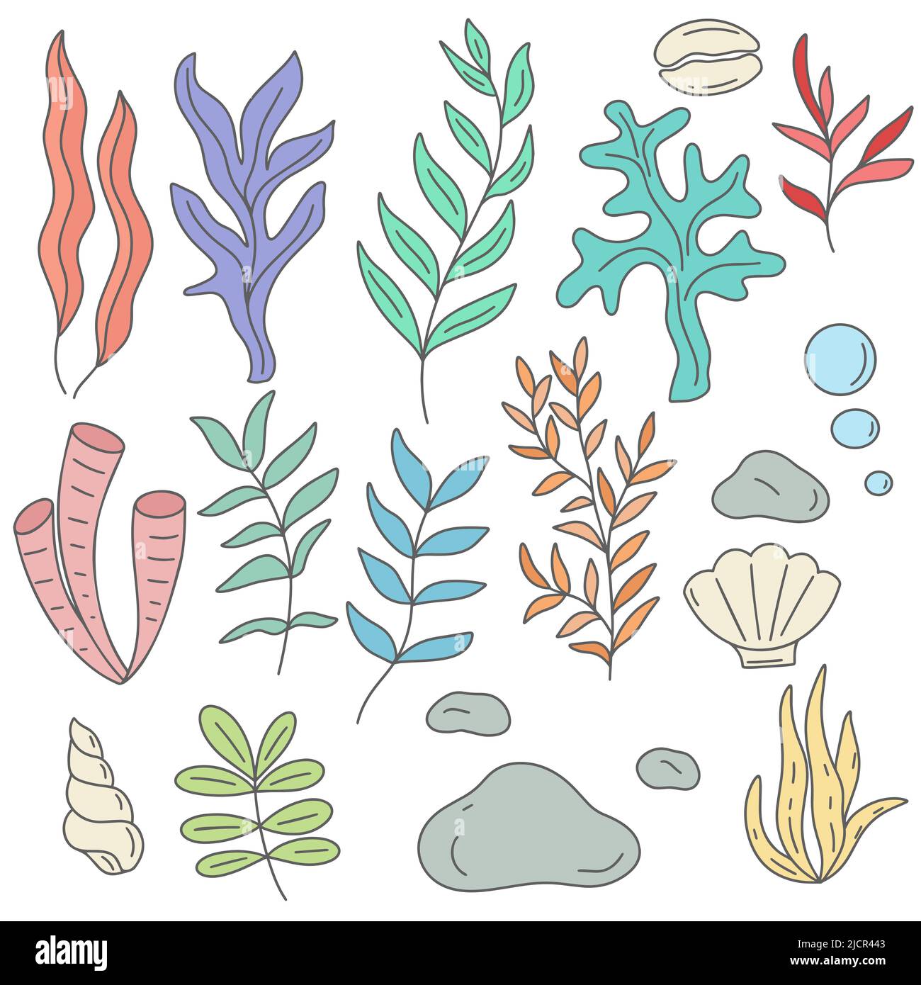 Sea and aquarium algae shells and stones vector illustration set Stock Vector