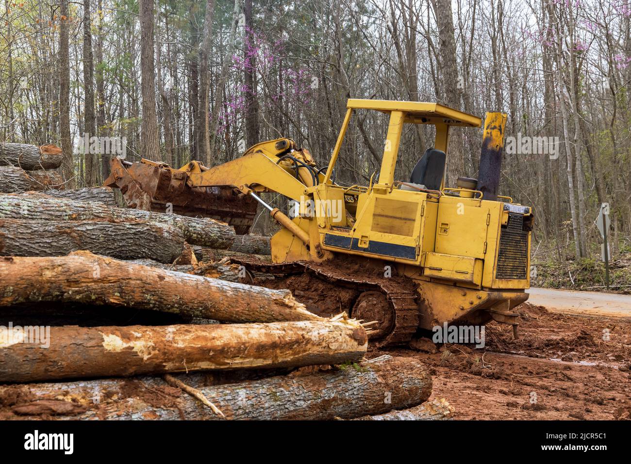 Backhoe for forestry work during clearing forest for new development