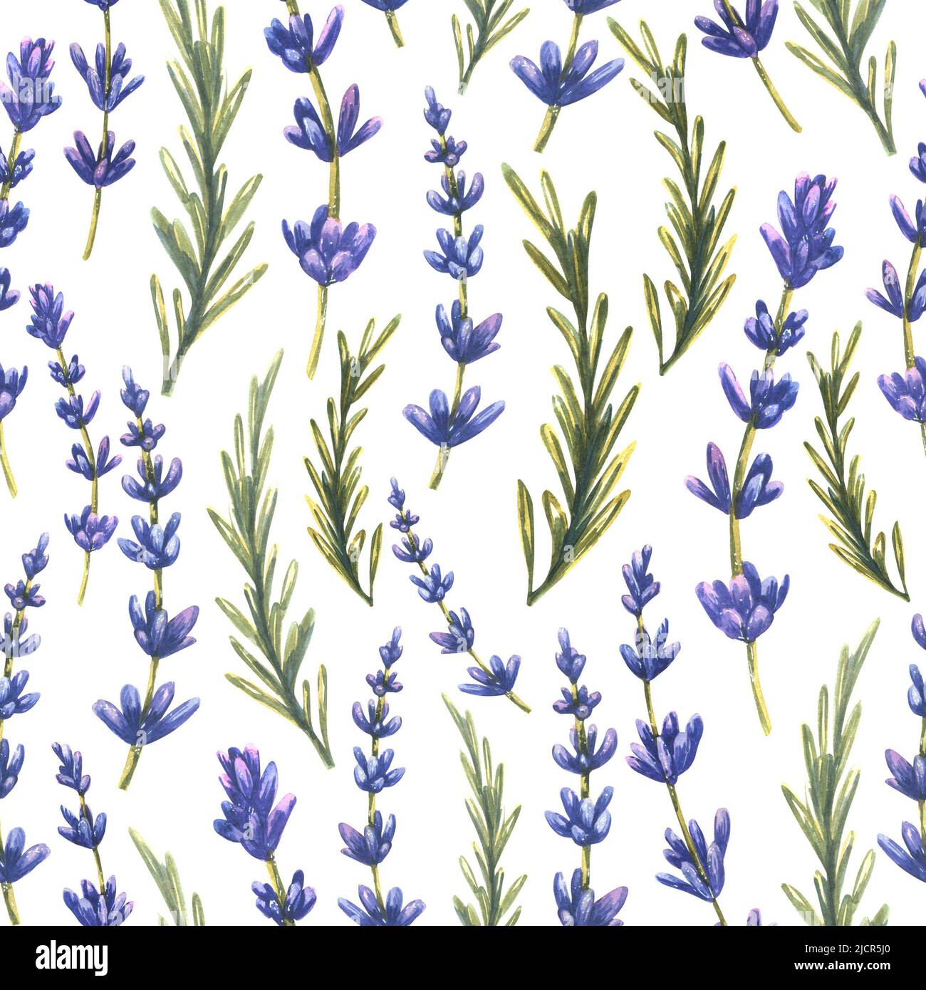 Twigs and leaves of lavender flowers. Watercolor, seamless pattern on a ...